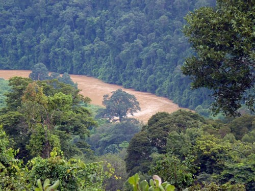 View of a river section that will be flooded after Dong Nai 6 and 6A Hydropower Plants are built (Source: Thanh Nien) View of a river section that will be flooded after Dong Nai 6 and 6A Hydropower Plants are built (Source: Thanh Nien)